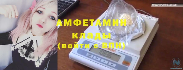 молекула духа Санкт-Петербург