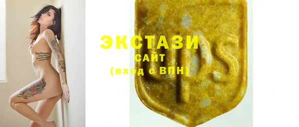 МДПВ Краснослободск