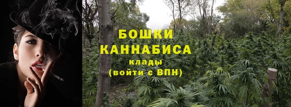 МДПВ Краснослободск